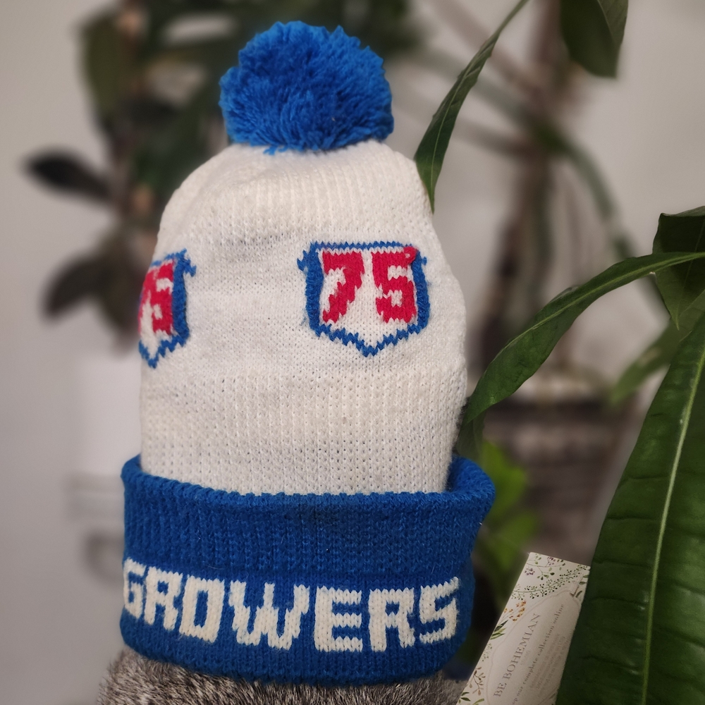 Vintage 70s 80s  Blue and White Pom Pom Beanie Touque